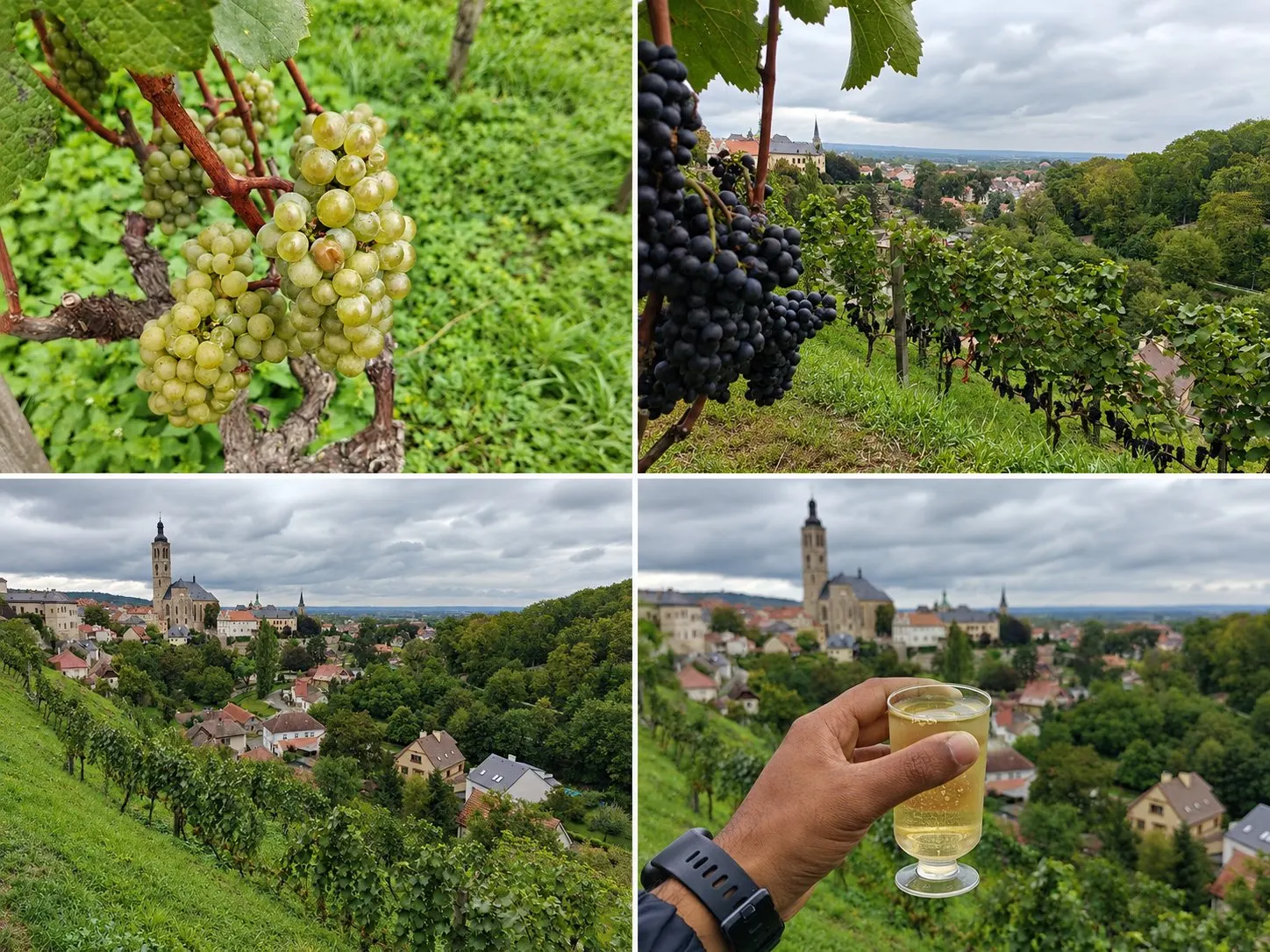 The view from the vineyard near St. Barbara's Church